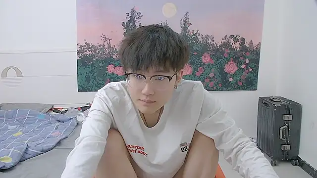 Show modela KK-cuteboy na web-kameri