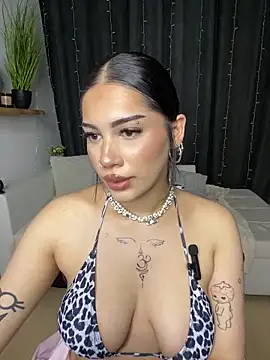 Show de lora_meow na webcam