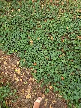 LIBERTINE_HOT_Gourmandise Webcamshow