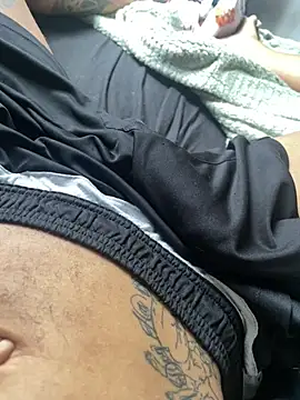 shreddystrokes – webcam-show