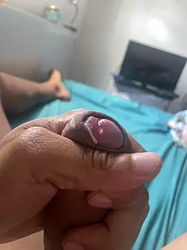 shreddystrokes – Kamerová šou