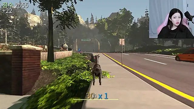 MISA_02: διαδικτυακό σόου στην κάμερα