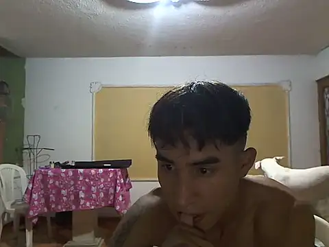 CowboyArt3 – webcam-show