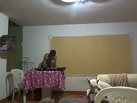 CowboyArt3n Webbikameraesitys