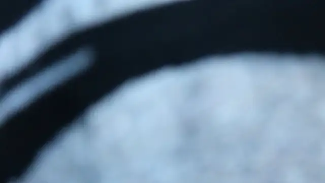 BellaBlueBBW's Live Chat Room