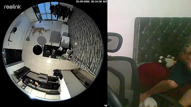 316wp: διαδικτυακό σόου στην κάμερα