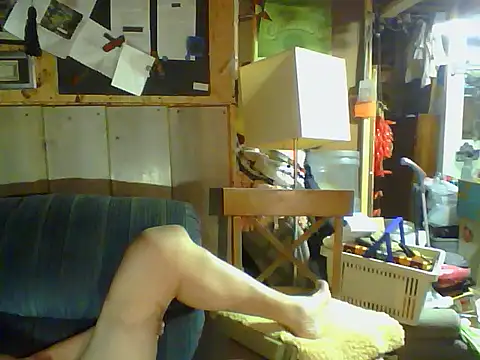 Show webcam de OldManOnline