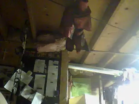 OldManOnline Pertunjukan Webcam