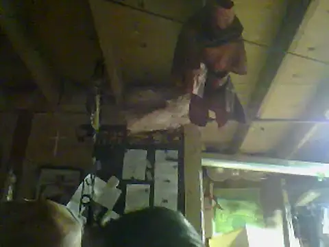 Show de OldManOnline na webcam