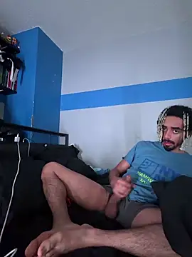 Show de webcam de shadespider