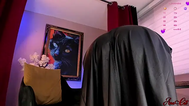 Show de ana_cat na webcam
