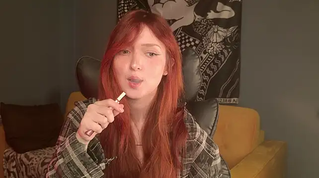 Show Webcam de BellaSink