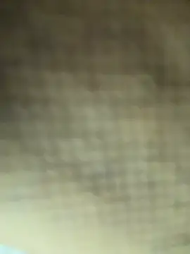 عرض كام Amiraxevans