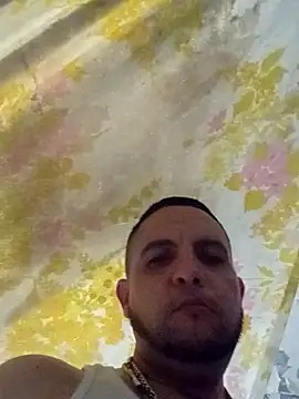 Show Webcam de Cogelonregio