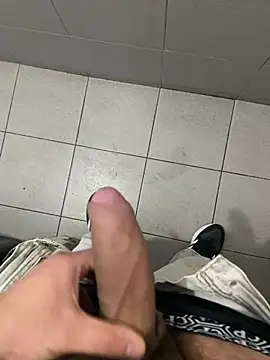 4100anlleln Webbikameraesitys