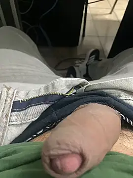4100anllel Pertunjukan Webcam