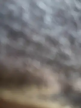 didihairypussy: δωμάτιο απευθείας συνομιλίας