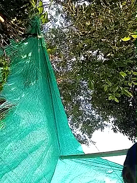 single_virgin's Webcam Show