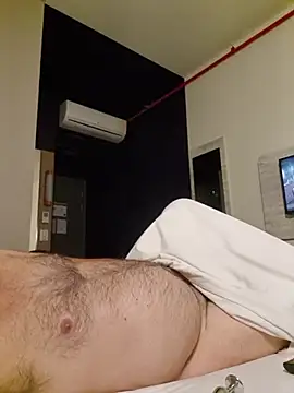 Show de Scorpions2025 na webcam