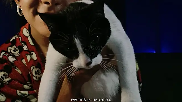 Nalan__ 网络视讯表演