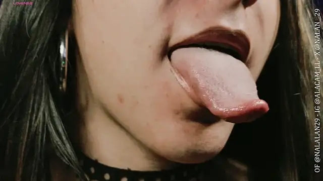 Nalan__ 웹캠 쇼