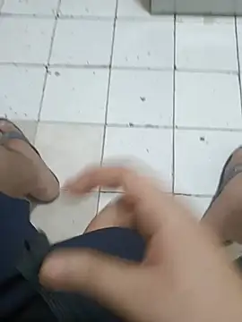 Show de ConvoyedSubgroup na webcam
