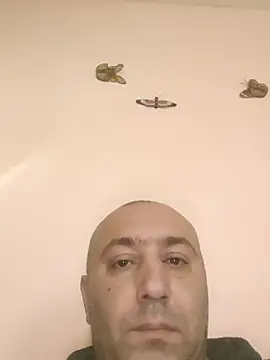 Davidsex66666 webcam show