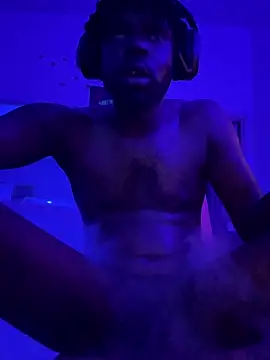 Show webcam de misterincred