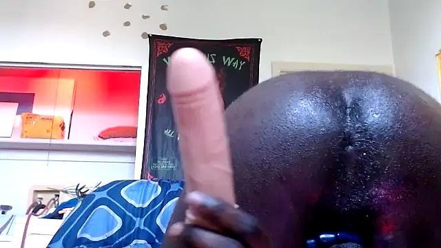 misterincred Pertunjukan Webcam