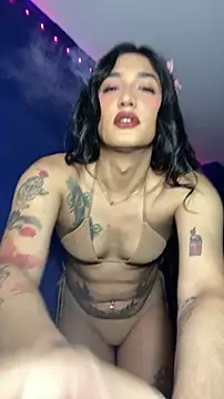 Pertunjukan Kamera Web NikitaDragunXXX