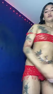 Pertunjukan Kamera Web NikitaDragunXXX
