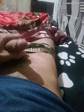 Show modela OrionAz na web-kameri
