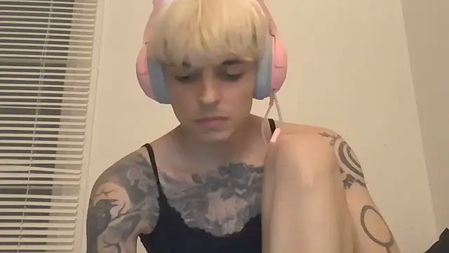 Show Webcam de LexKitsune
