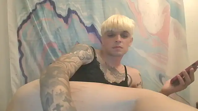 Show webcam de LexKitsune