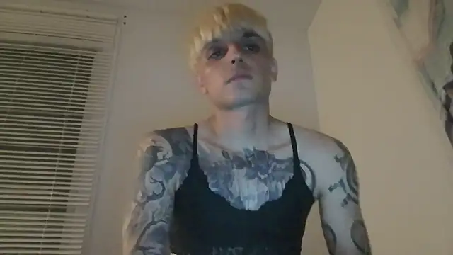 Show webcam de LexKitsune