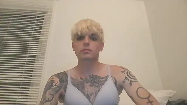 Show Webcam de LexKitsune