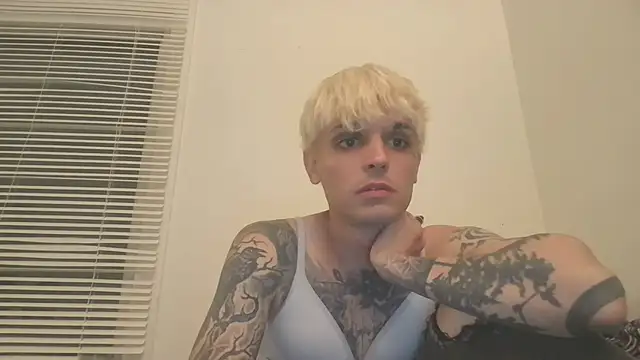 Show webcam de LexKitsune