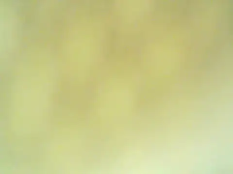 Sweetpinay_mature 실시간 채팅방