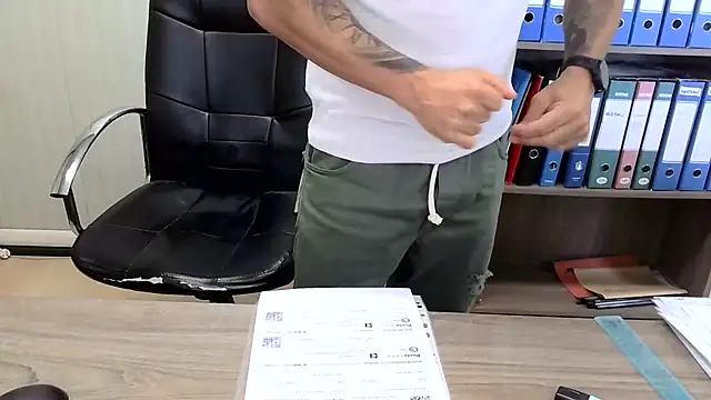 Evasioneen Webbikameraesitys