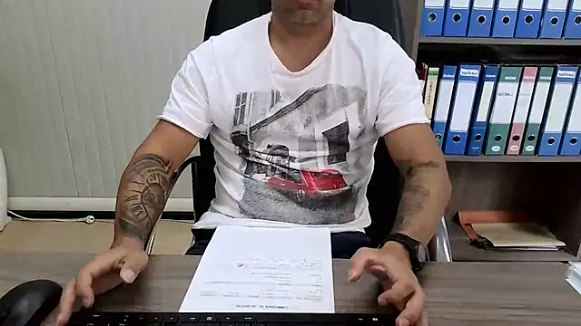 Evasioneen Webbikameraesitys