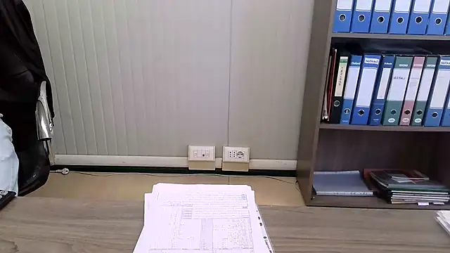 Evasionee 网络视讯表演