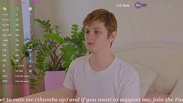 عرض كام Allert_