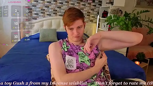 Allert_n Webbikameraesitys