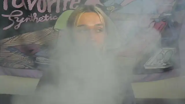 Show Webcam de icebenz