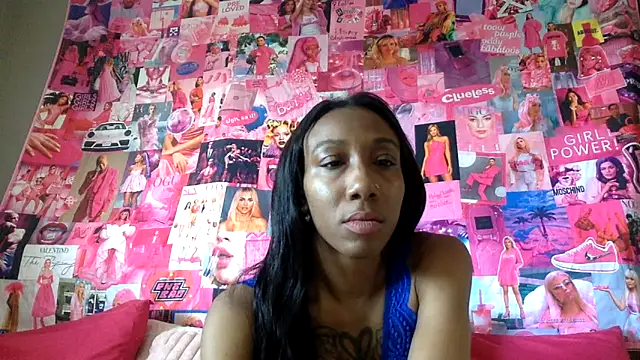 Show webcam de BriMariee