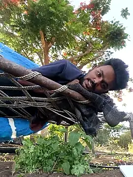 Show Webcam de Wildlife_With_devil_89