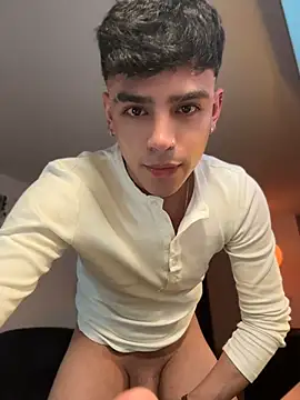 aronnhiddenn Webbikameraesitys