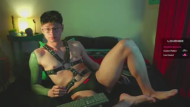 Heliero Webcam-Show