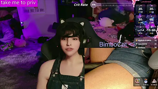 BimboCat – Kamerová šou