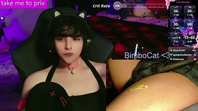 Show Webcam de BimboCat